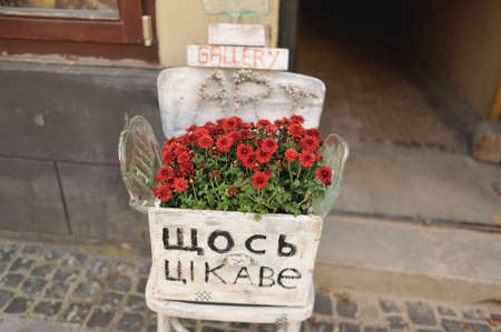 Street Vintage composition decorative red flowers in a white box on a white chairの写真素材