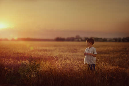 on the wheat field at sunset is a small boyの写真素材