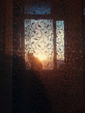 dark room in the silhouette of a cat sitting on a sunset