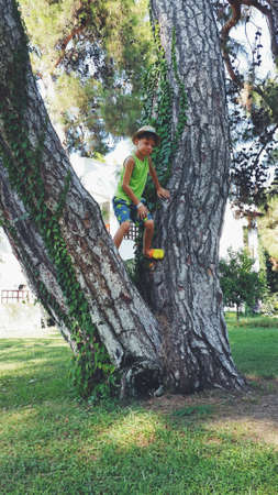summer in the park boy in hat and shorts climbs treesの写真素材