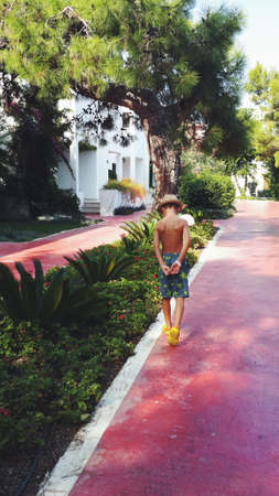 along the alley there are various palms and pink road is a little boy in a hatの写真素材