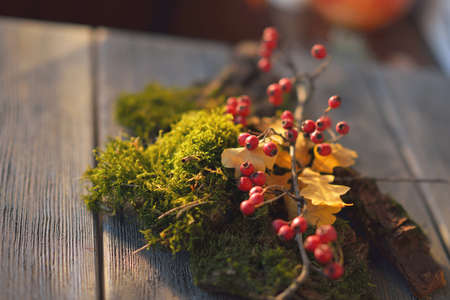 on a wooden surface lies a green moss, leaves and red berriesの写真素材