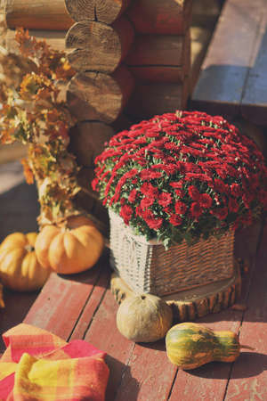 the house on a wooden table and a large pumpkin decorative vase with a bouquet of chrysanthemumsの写真素材