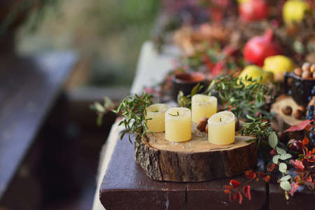 on a wooden table foliage stump with white candles and fruitの写真素材