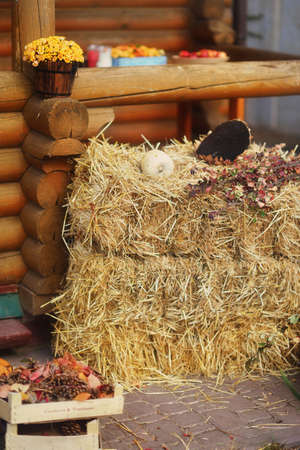 on a farm near the wooden house haystack, flowers, sunflower and pumpkinの写真素材