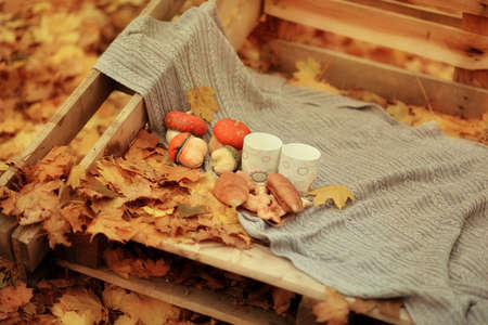 cart and decorative pumpkinの写真素材