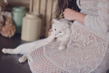 Pregnant woman in fishnet dress with white cat sitting on the floorの写真素材