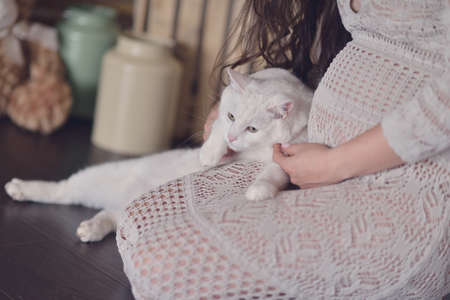 Pregnant woman in fishnet dress with white cat sitting on the floorの写真素材