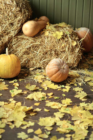 on the wooden floor a lot of straw yellow leaves and pumpkinの写真素材