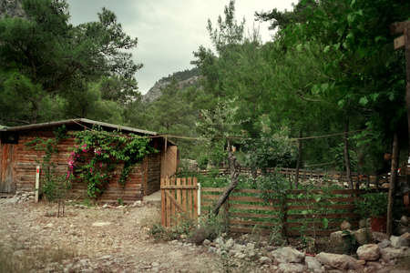 mountains in the background in the coniferous forest house with thatched roofの写真素材