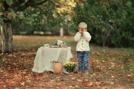 in the autumn forest in the meadow with yellow leaves at the table is a small boy covering his face with his handsの写真素材