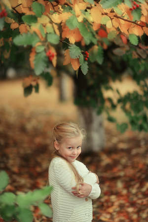 in the autumn forest near a tree with bright foliage and berries in the sun poses little girl with...