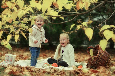 golden autumn forest picnic, cheerful boy with a cute little girl in a big basketの写真素材