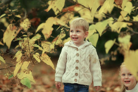 in the autumn forest with yellow leaves stands happy little boyの写真素材