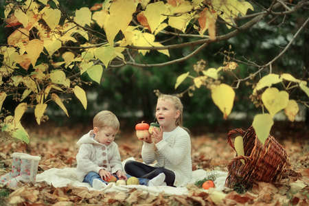 golden autumn forest picnic, a boy with a cute little girl sitting in a big basket in the foliageの写真素材