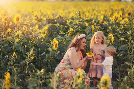 on the field with yellow sunflowers mother with her childrenの写真素材