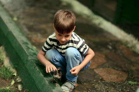outside in the park a little boy in jeans playing with live chickensの写真素材