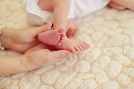 Mother hands on baby feetの写真素材