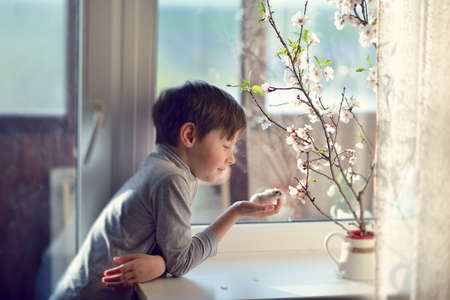 a window with a vase of flowers and a little boy holding a hamsterの写真素材