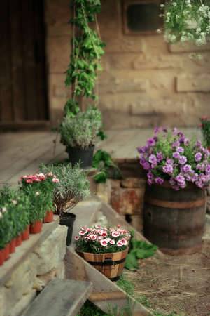 in the courtyard of a stone house on the porch with pots of flowers and a big barrel with flowers