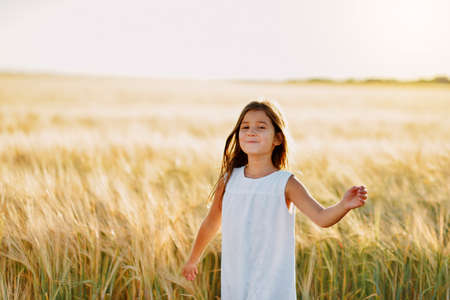 Adorable little girl playing in the wheat field on a warm summer dayの写真素材