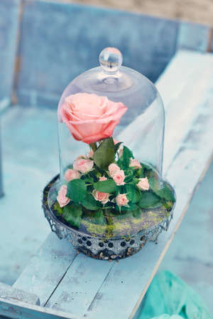 on a wooden table in a glass vase delicate pink roseの写真素材