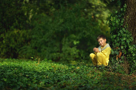 cute little boy in a yellow shirt and jeans sitting on a tree ivyの写真素材
