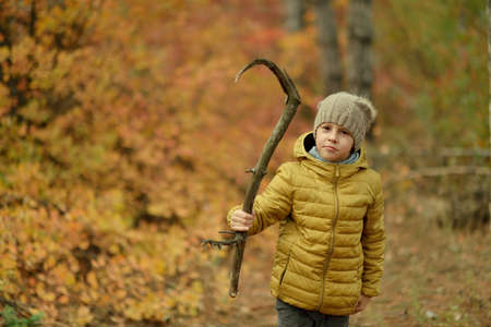 little boy in a yellow jacket and knit cap is a shelf in the autumn forestの写真素材