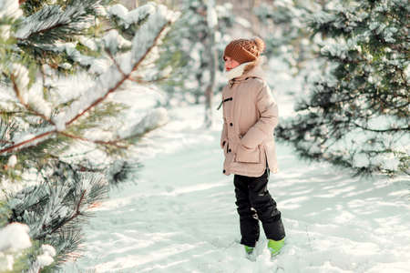 winter sunny day in the snowy forest walks boy in a cap with red cheeksの写真素材