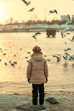 boy standing with his back to the hat by the river at sunset and flying birdsの写真素材
