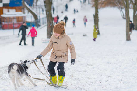winter sunny day in the park walking boy with husky dogの写真素材