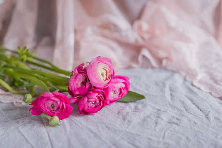 on openwork fabric is a bright bouquet of pink ranunkulyusov