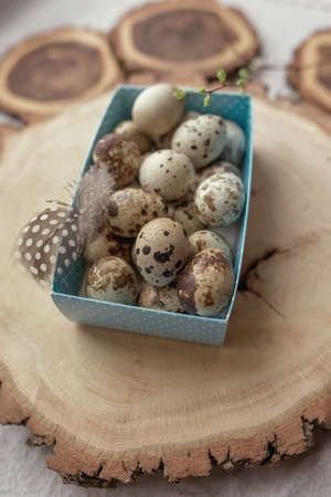 on wooden decks blue box with quail eggs and feather with a branchの写真素材