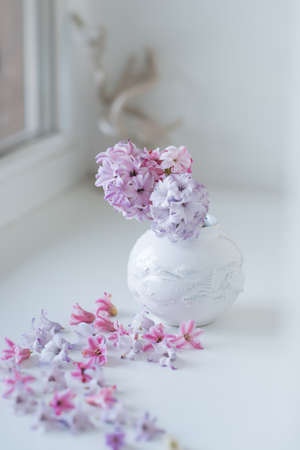on a light background white round bowl with a delicate bouquet of hyacinth buds and scatteredの写真素材