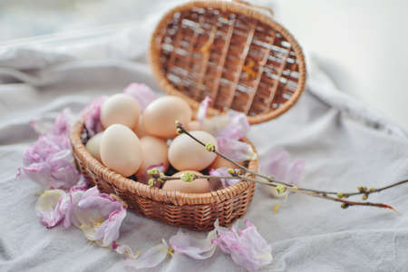 Easter composition eggs in a wicker basket with feathers and branch with green budsの写真素材