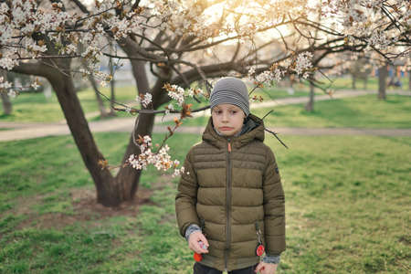 boy in a jacket and hat walking in the garden with flowering treesの写真素材