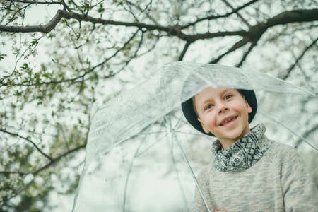 Spring garden with flowering trees a cute little boy with a hat under a transparent umbrellaの写真素材