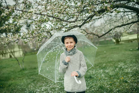Spring garden with flowering trees a cute little boy with a hat under a transparent umbrellaの写真素材