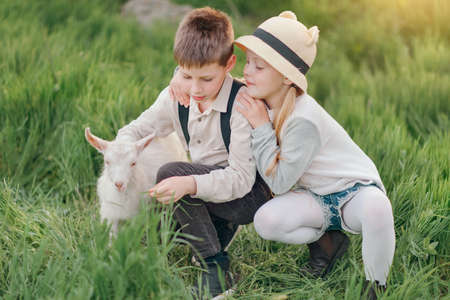 little girl in a hat with a boy playing with a little white goat in lush garden
