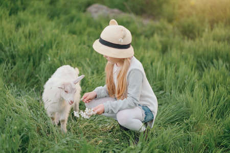 spring sunny day in the lush garden blond girl playing with young goatの写真素材