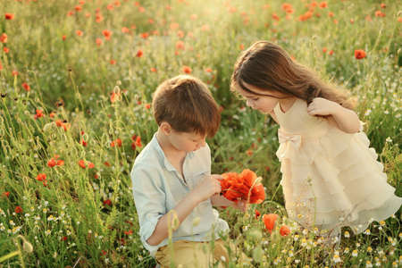 at the spring flower field little boy and girl collect red poppiesの写真素材