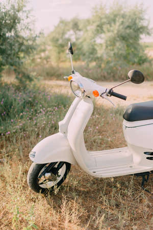 under the trees is a white moped on the field with wild flowersの写真素材
