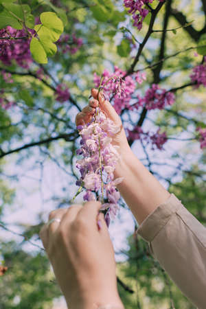 in green summer park frustrating female hands with beautiful flowers treeの写真素材