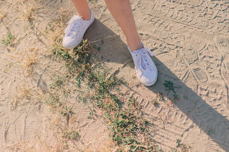 on the sand with grass shadow and female legs in white sneakersの写真素材