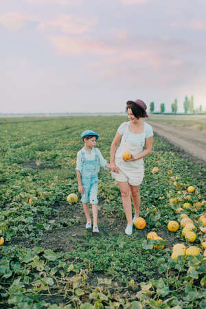 on the field with melons mother and son wearing a hat in the cap harvestの写真素材