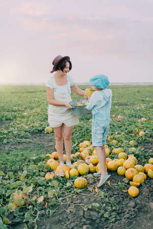 on the field with melons mother and son wearing a hat in the cap harvest