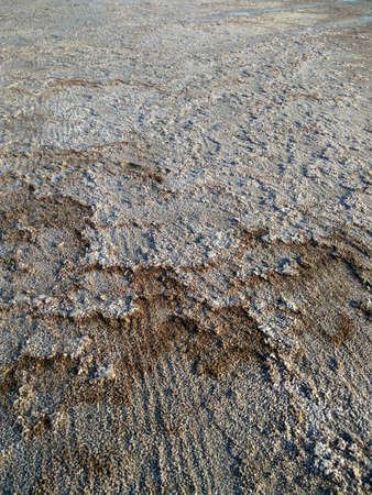 coast of the estuary of the dried salt crystals in the sandの写真素材