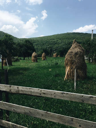 under the mountain on a green meadow near the forest haystackの写真素材