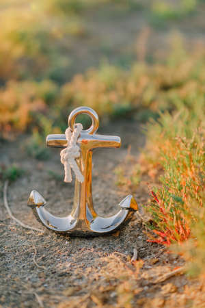 on the shores of golden anchor with a white rope in the grassの写真素材