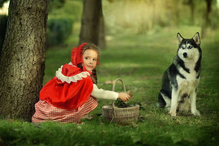 a scene from a fairy tale forest girl red cap with a basket and the Grey Wolfの写真素材